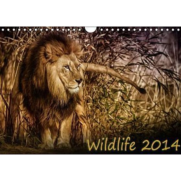 Wildlife 2016 (Wandkalender 2016 DIN A4 quer), Michael Stenger