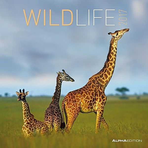 Wildlife 2017, ALPHA EDITION