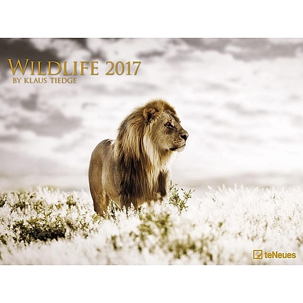 Wildlife 2017, Klaus Tiedge