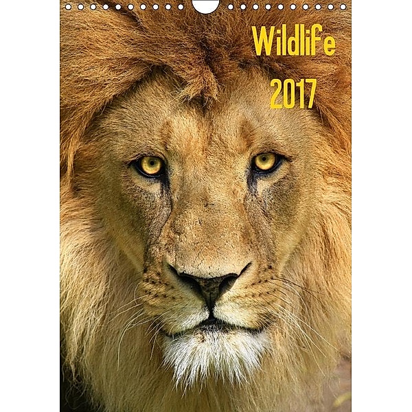 Wildlife 2017 (Wandkalender 2017 DIN A4 hoch), Jens Klingebiel
