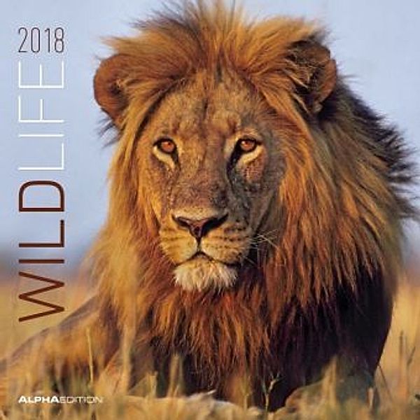 Wildlife 2018