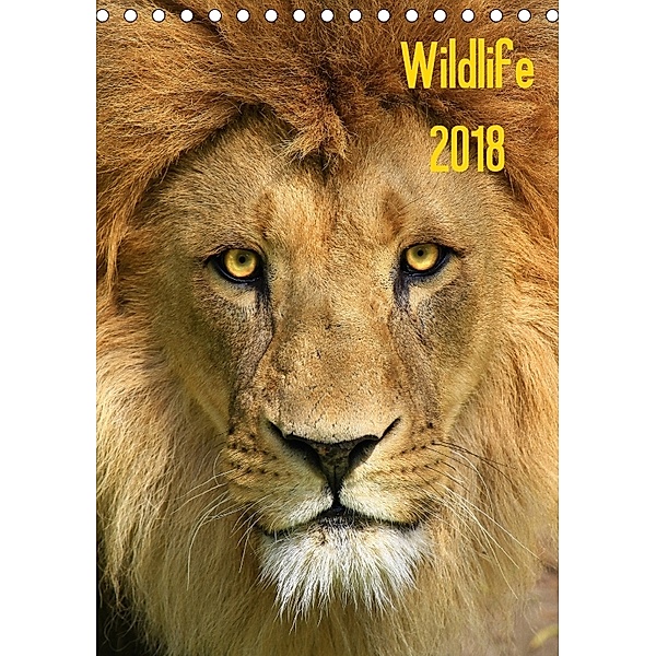 Wildlife 2018 (Tischkalender 2018 DIN A5 hoch), Jens Klingebiel