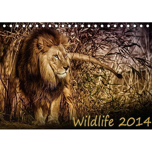 Wildlife 2018 (Tischkalender 2018 DIN A5 quer), Michael Stenger