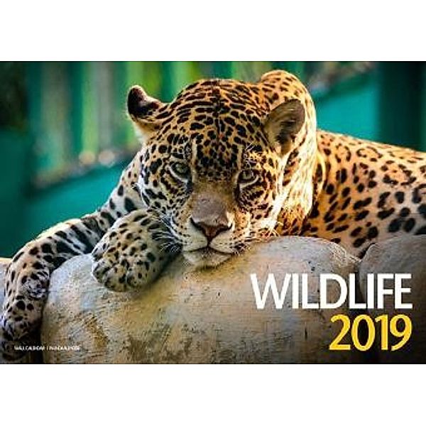 Wildlife 2019