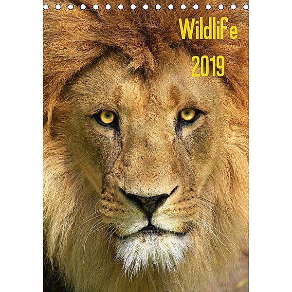 Wildlife 2019 (Tischkalender 2019 DIN A5 hoch), Jens Klingebiel