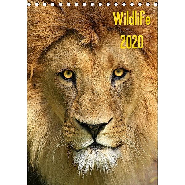 Wildlife 2020 (Tischkalender 2020 DIN A5 hoch), Jens Klingebiel