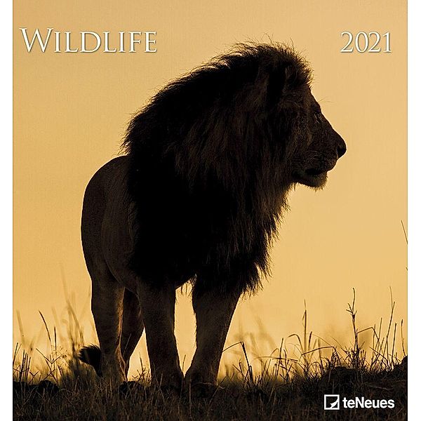 Wildlife 2021
