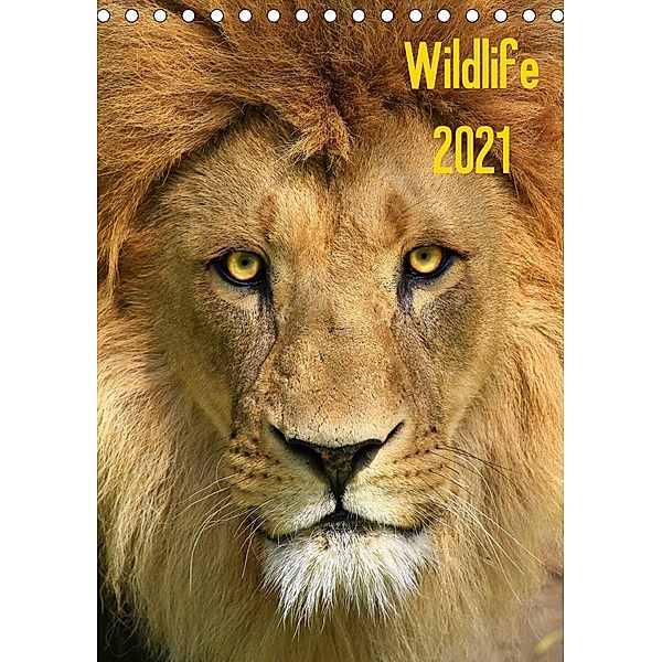 Wildlife 2021 (Tischkalender 2021 DIN A5 hoch), Jens Klingebiel