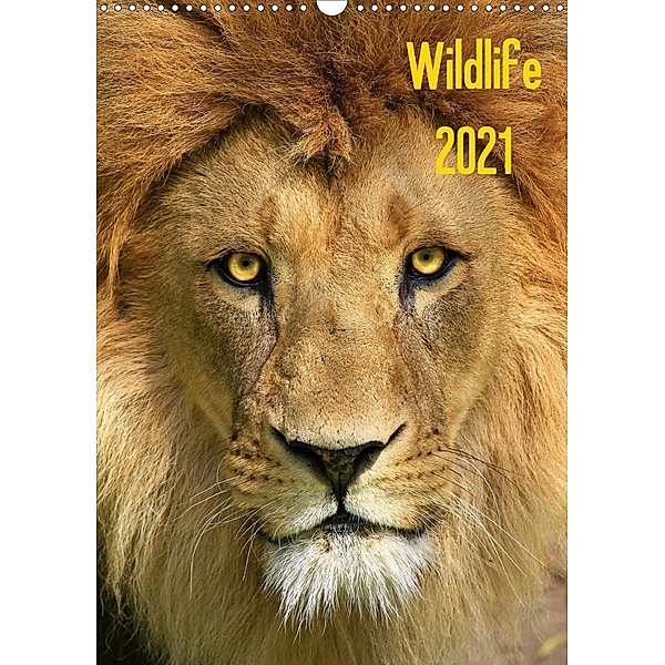 Wildlife 2021 (Wandkalender 2021 DIN A3 hoch), Jens Klingebiel