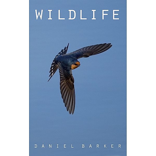 Wildlife, Daniel Barker