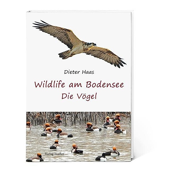 Wildlife am Bodensee, Dieter Haas