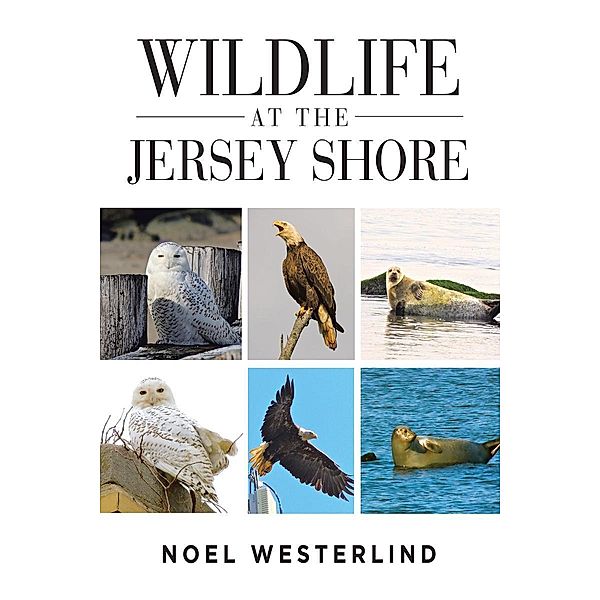 Wildlife at the Jersey Shore / Page Publishing, Inc., Noel Westerlind Sr
