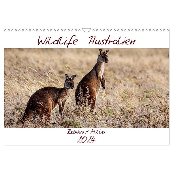 Wildlife Australien (Wandkalender 2024 DIN A3 quer), CALVENDO Monatskalender, Reinhard Müller