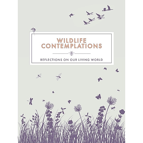 Wildlife Contemplations, Various