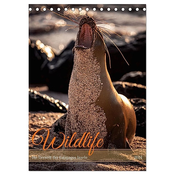 Wildlife - Die Tierwelt der Galapagos Inseln (Tischkalender 2024 DIN A5 hoch), CALVENDO Monatskalender, In X Tagen um die Welt