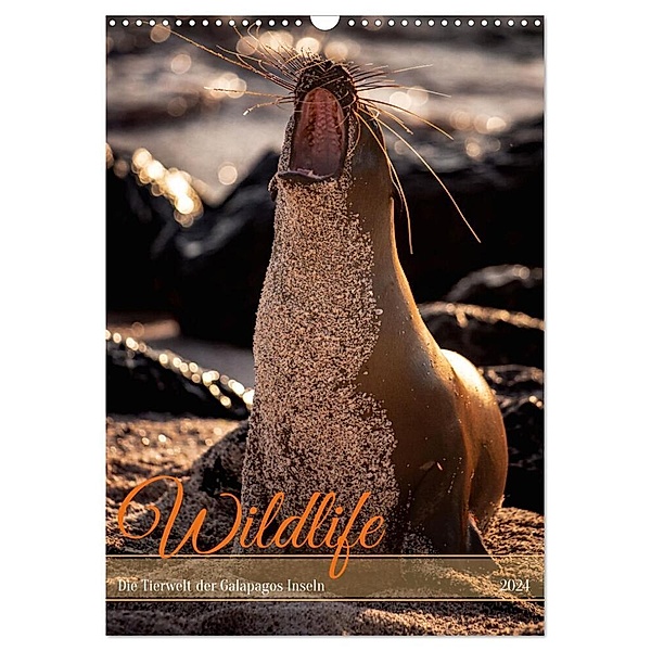 Wildlife - Die Tierwelt der Galapagos Inseln (Wandkalender 2024 DIN A3 hoch), CALVENDO Monatskalender, In X Tagen um die Welt
