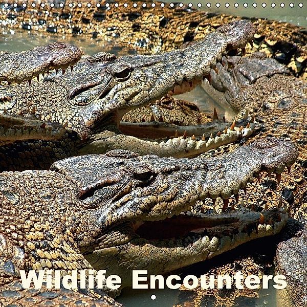 Wildlife Encounters (Wall Calendar 2017 300 × 300 mm Square), Rudolf Blank