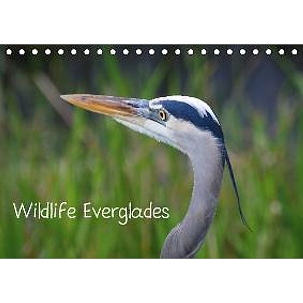 Wildlife Everglades (Tischkalender 2015 DIN A5 quer), Kerstin Grunenberg
