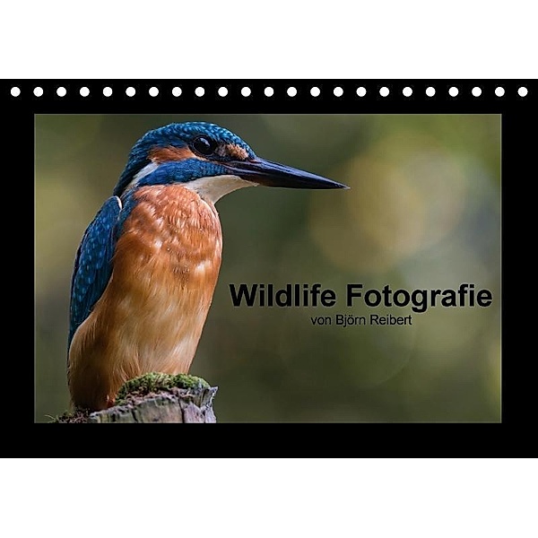 Wildlife Fotografie (Tischkalender 2017 DIN A5 quer), Björn Reibert