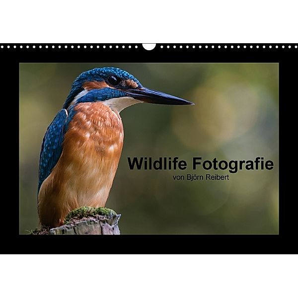 Wildlife Fotografie (Wandkalender 2018 DIN A3 quer) Dieser erfolgreiche Kalender wurde dieses Jahr mit gleichen Bildern, Björn Reibert