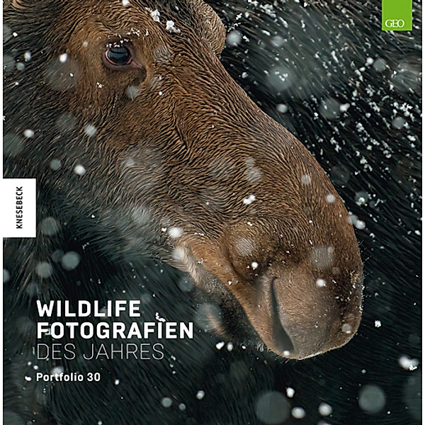 Wildlife Fotografien des Jahres - Portfolio 30