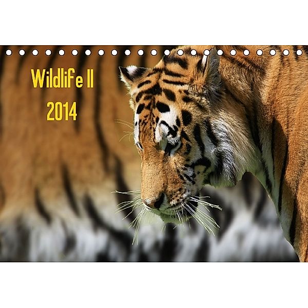 Wildlife II / 2014 (Tischkalender 2014 DIN A5 quer), Jens Klingebiel