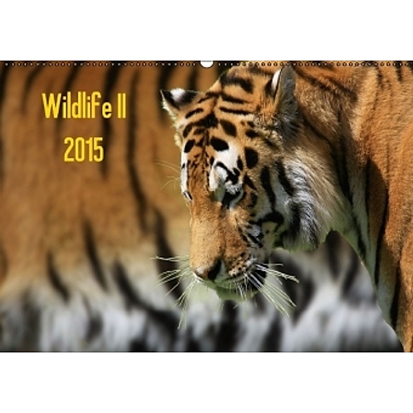 Wildlife II / 2015 (Wandkalender 2015 DIN A2 quer), Jens Klingebiel