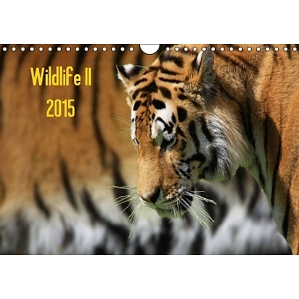 Wildlife II / 2015 (Wandkalender 2015 DIN A4 quer), Jens Klingebiel