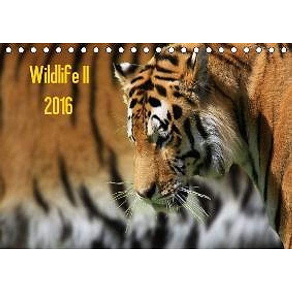 Wildlife II / 2016 (Tischkalender 2016 DIN A5 quer), Jens Klingebiel