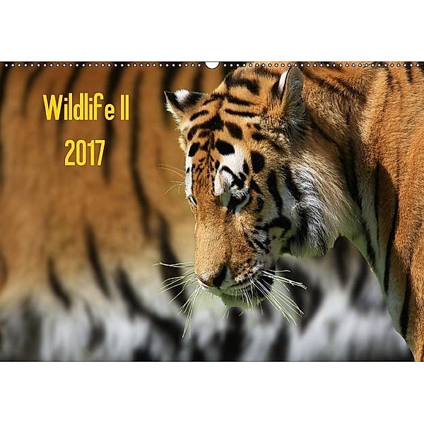Wildlife II / 2017 (Wandkalender 2017 DIN A2 quer), Jens Klingebiel