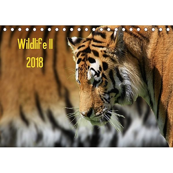 Wildlife II / 2018 (Tischkalender 2018 DIN A5 quer), Jens Klingebiel