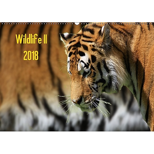 Wildlife II / 2018 (Wandkalender 2018 DIN A2 quer), Jens Klingebiel