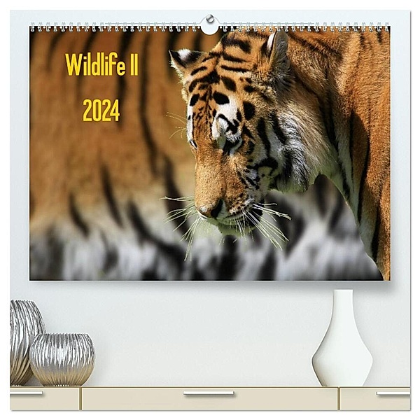 Wildlife II / 2024 (hochwertiger Premium Wandkalender 2024 DIN A2 quer), Kunstdruck in Hochglanz, Jens Klingebiel