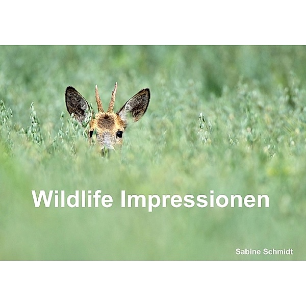 Wildlife Impressionen (Tischaufsteller DIN A5 quer), Sabine Schmidt