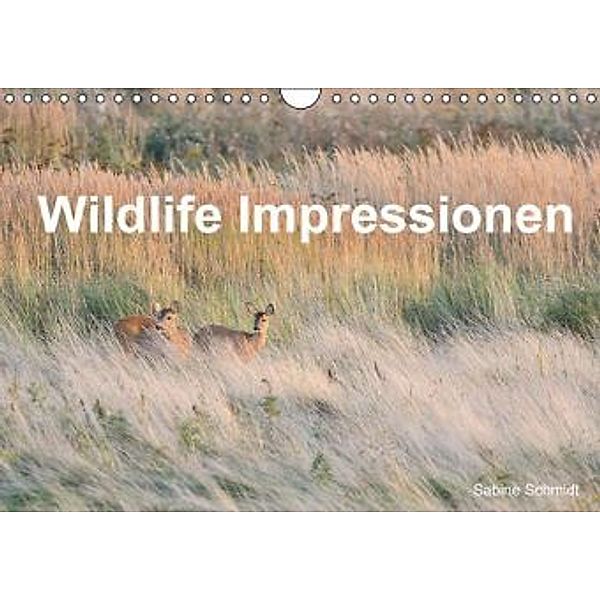Wildlife Impressionen (Wandkalender 2016 DIN A4 quer), Sabine Schmidt