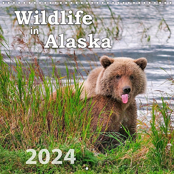 Wildlife in Alaska (Wall Calendar 2024 300 × 300 mm Square), Dieter Wilczek