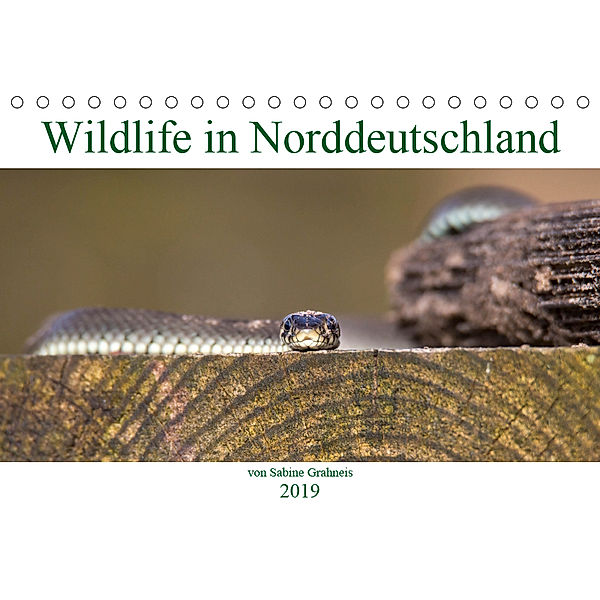 Wildlife in Norddeutschland (Tischkalender 2019 DIN A5 quer), Sabine Grahneis