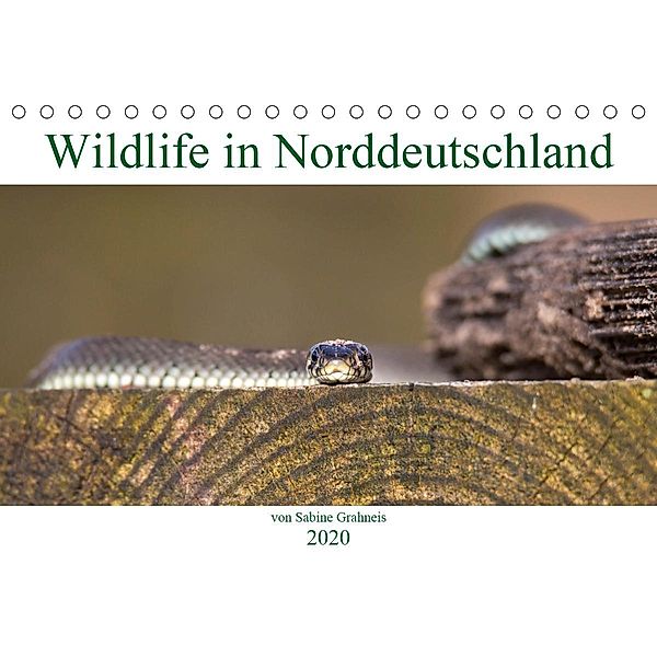 Wildlife in Norddeutschland (Tischkalender 2020 DIN A5 quer), Sabine Grahneis