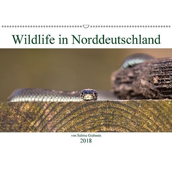 Wildlife in Norddeutschland (Wandkalender 2018 DIN A2 quer), Sabine Grahneis