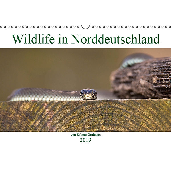 Wildlife in Norddeutschland (Wandkalender 2019 DIN A3 quer), Sabine Grahneis