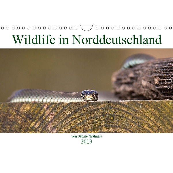 Wildlife in Norddeutschland (Wandkalender 2019 DIN A4 quer), Sabine Grahneis