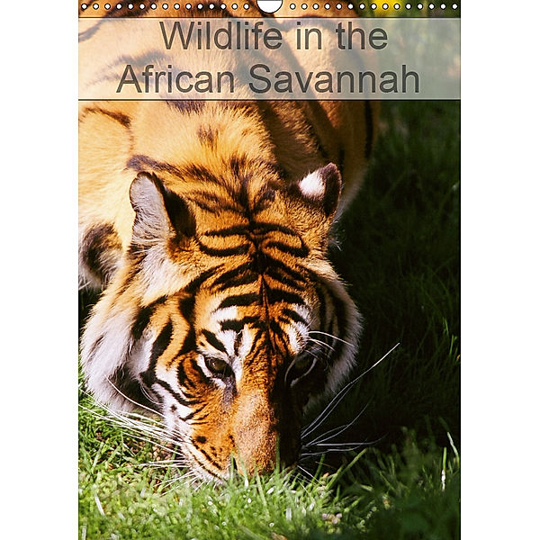 Wildlife in the African Savannah (Wall Calendar 2019 DIN A3 Portrait), Dominique Leroy