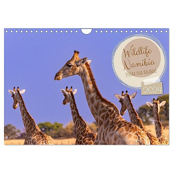 Wildlife Namibia - Etosha und Kalahari (Wandkalender 2024 DIN A4 quer), CALVENDO Monatskalender, Dorothea Früh