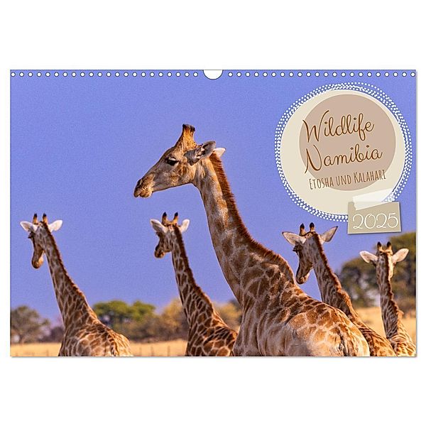 Wildlife Namibia - Etosha und Kalahari (Wandkalender 2025 DIN A3 quer), CALVENDO Monatskalender, Calvendo, Dorothea Früh