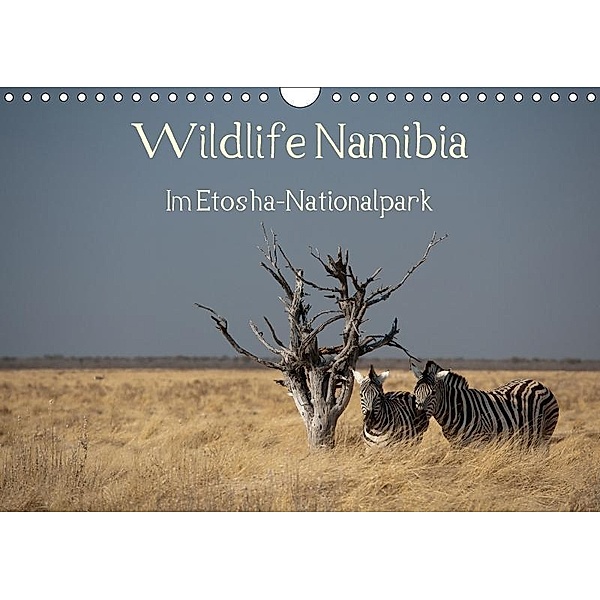 Wildlife Namibia (Wandkalender 2017 DIN A4 quer), Reinhard Müller