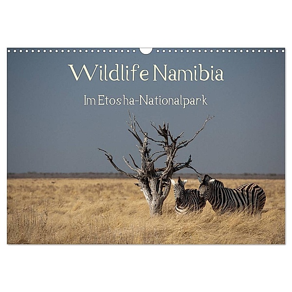 Wildlife Namibia (Wandkalender 2024 DIN A3 quer), CALVENDO Monatskalender, Reinhard Müller