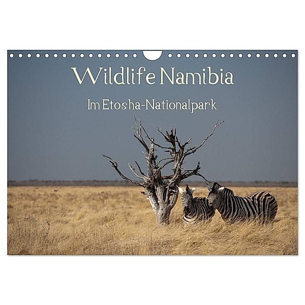 Wildlife Namibia (Wandkalender 2024 DIN A4 quer), CALVENDO Monatskalender, Reinhard Müller