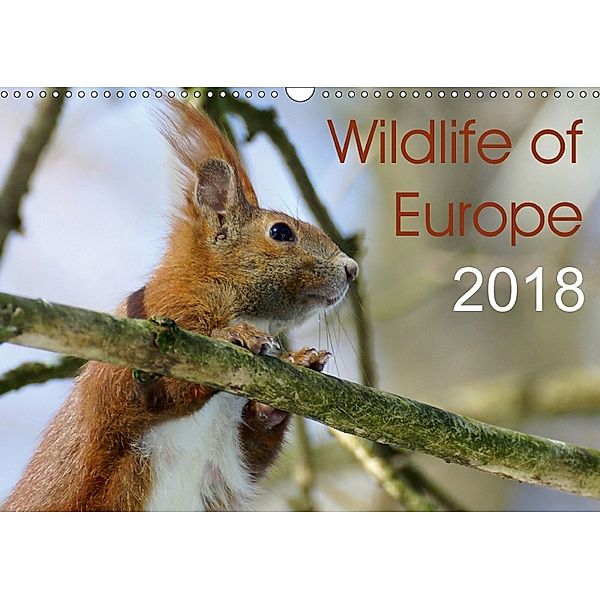 Wildlife of Europe 2018 (Wall Calendar 2018 DIN A3 Landscape), Katja Jentschura