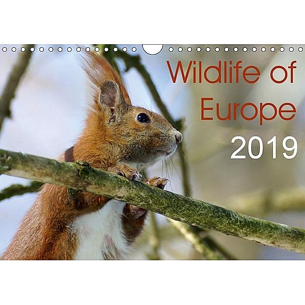 Wildlife of Europe 2019 (Wall Calendar 2019 DIN A4 Landscape), Katja Jentschura