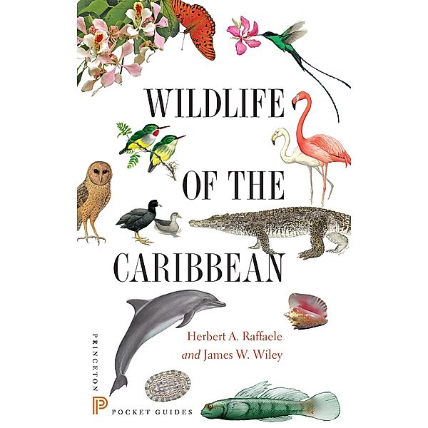 Wildlife of the Caribbean, Herbert A. Raffaele